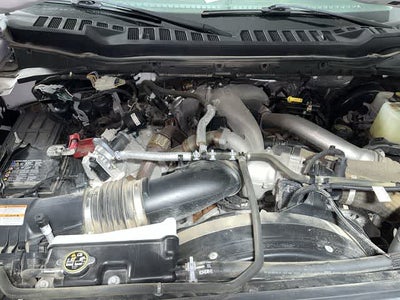 2024 Ford Super Duty F-250 SRW XLT