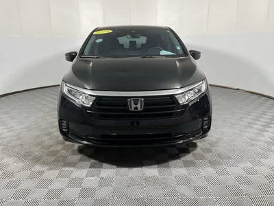 2024 Honda Odyssey Elite
