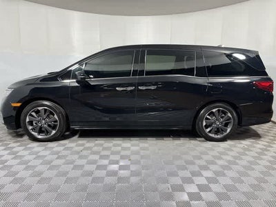 2024 Honda Odyssey Elite