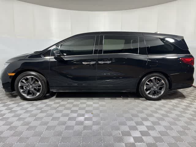 2024 Honda Odyssey Elite