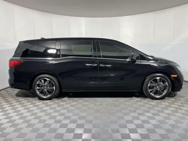 2024 Honda Odyssey Elite