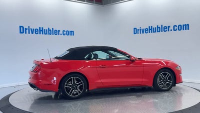 2023 Ford Mustang EcoBoost