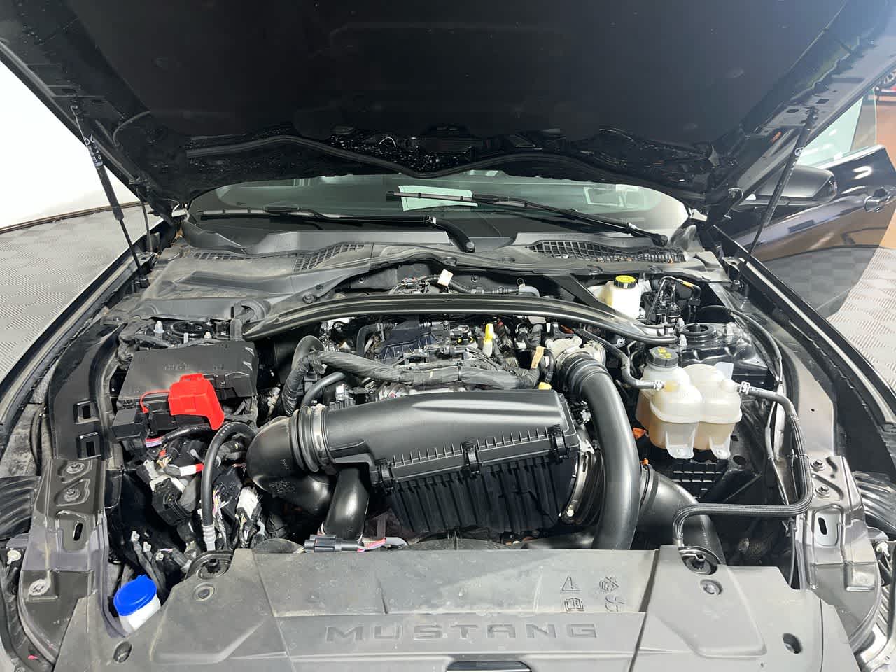 2025 Ford Mustang EcoBoost Premium