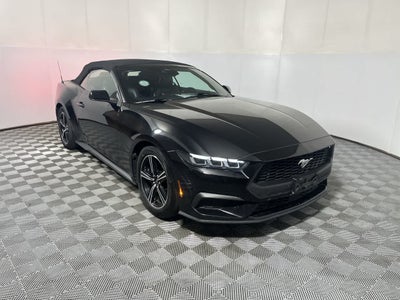 2025 Ford Mustang EcoBoost Premium