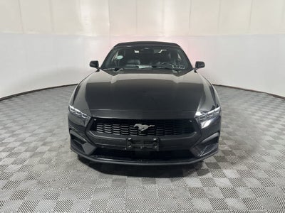 2025 Ford Mustang EcoBoost Premium