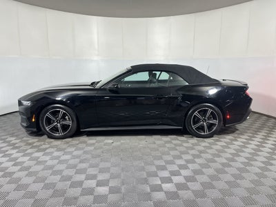 2025 Ford Mustang EcoBoost Premium