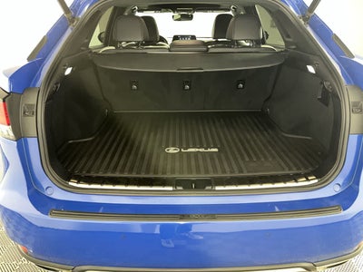 2021 Lexus RX F SPORT Appearance