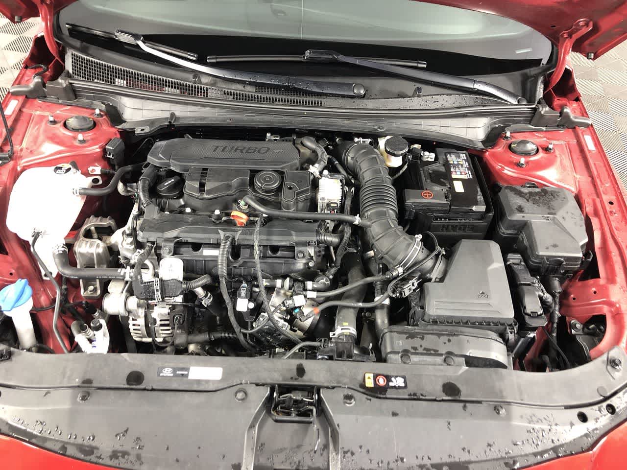 2024 Hyundai Elantra N Line